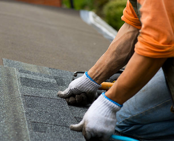Best New Roof Installation  in Colby, WI